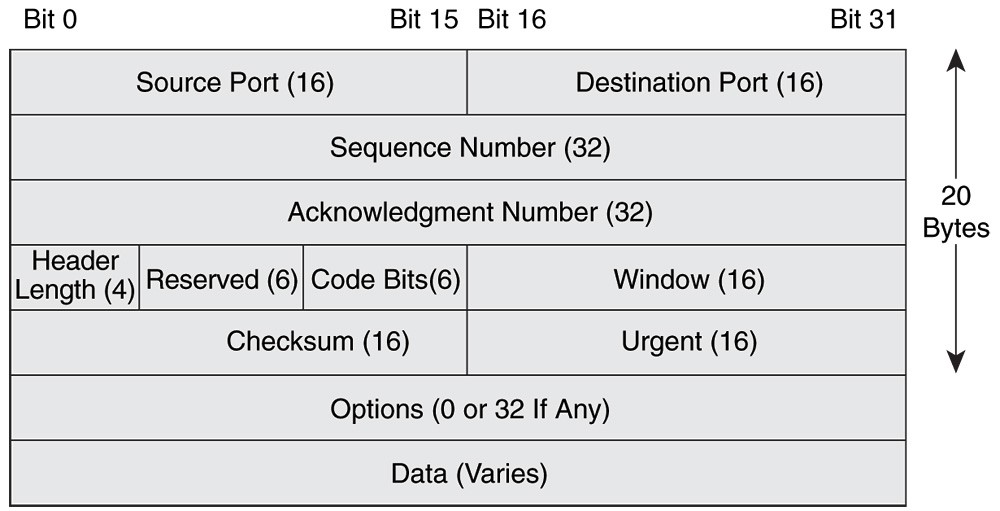 tcp header.jpg